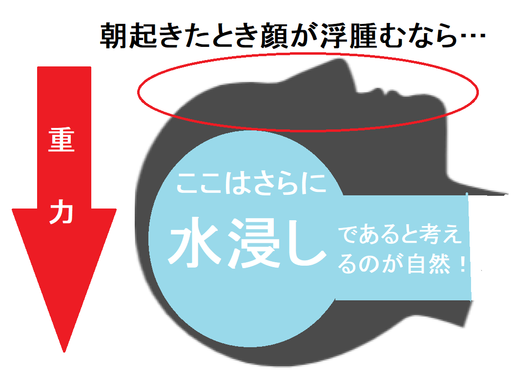 無料 この記事で まずは起立性調節障害 Od の原因とそのメカニズムを理解してください 神仙堂薬局