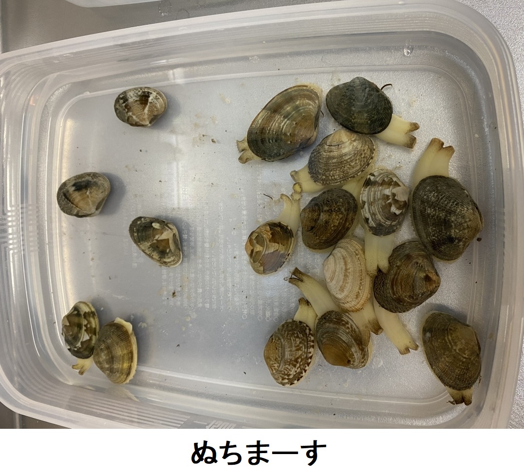La Mer（神仙堂薬局の塩）について！ | 神仙堂薬局