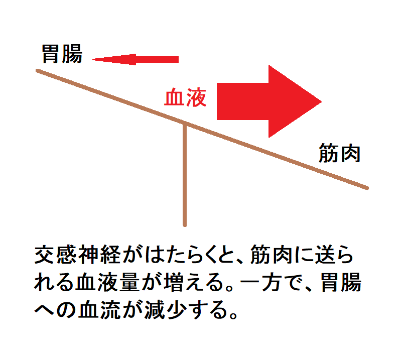 痛みの話２ 赤坂整形外科