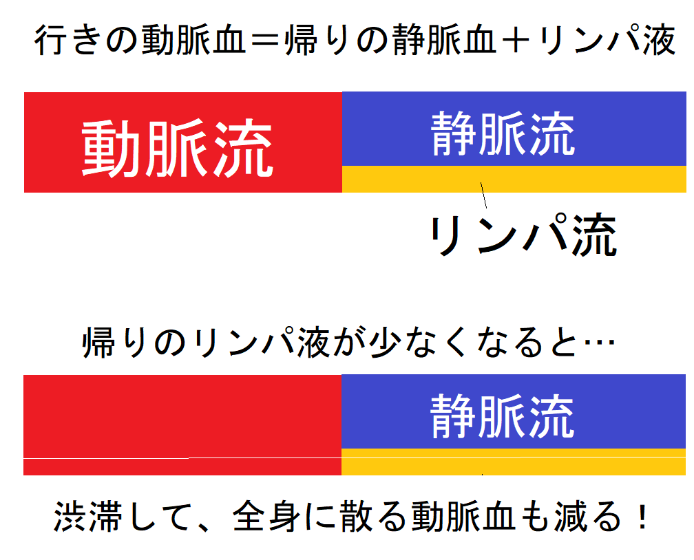 要チェック リンパの詰まりは脳血流の低下につながります 神仙堂薬局